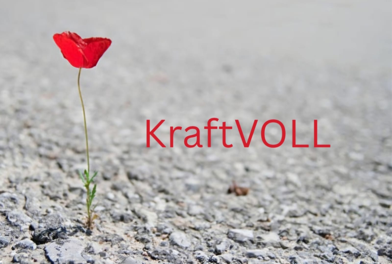 KraftVOLL Workshop